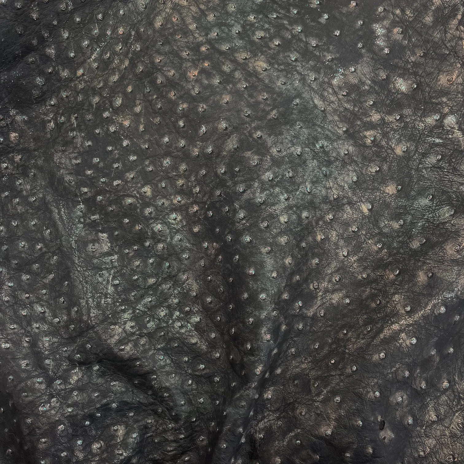 Ostrich Leather Hide | Distressed Glitter