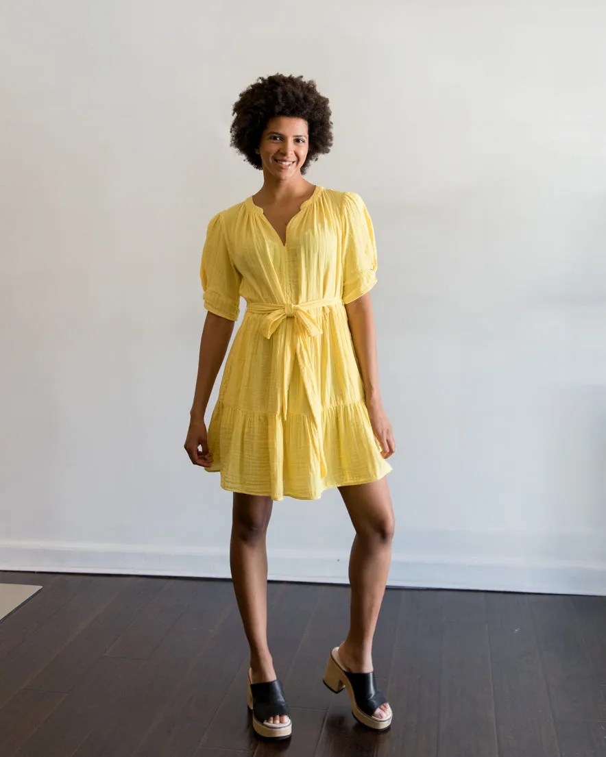 velvet by Graham and Spencer Bella Dress in Sunny