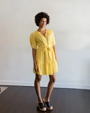 velvet by Graham and Spencer Bella Dress in Sunny