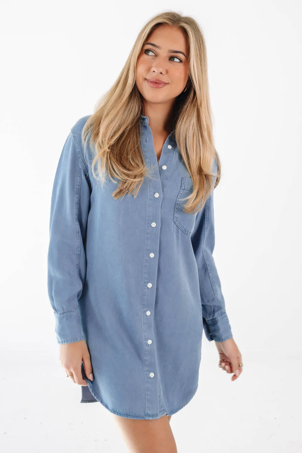 Z Supply Dover Chambray Dress - Indigo